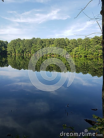 Tree Reflection side view afternoon Stock Photo