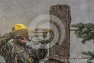 Tree removal Editorial Stock Photo