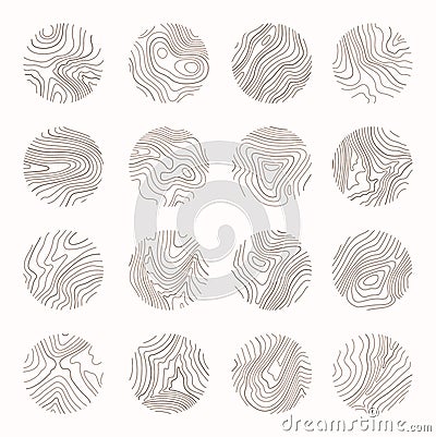 Tree ring, wood line art. Vector topography illustration Vector Illustration