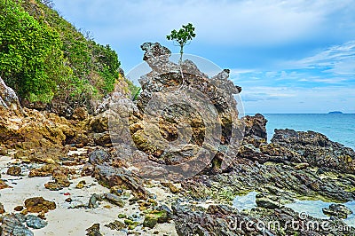 The tree on the rock, Khai Nok island, Phuket, Thailand Stock Photo