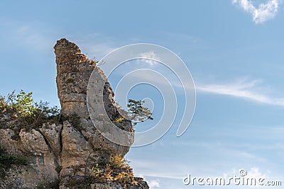 Tree on rocky peak in gorges of jonte Stock Photo