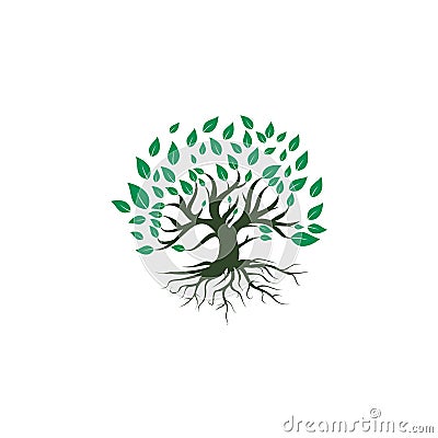 Tree root logo vector design illustration. Vector Illustration