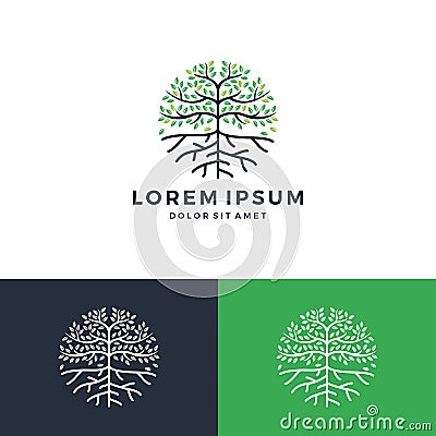 tree and root logo Stock Photo