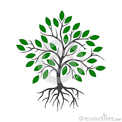 Tree and root logo vector leaf Vector Illustration