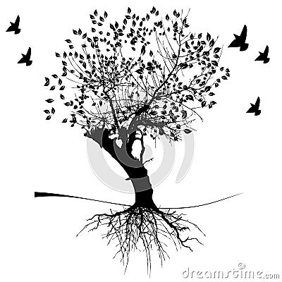 A tree and roots Vector Illustration