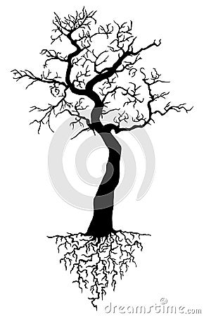 Tree with roots Vector Illustration