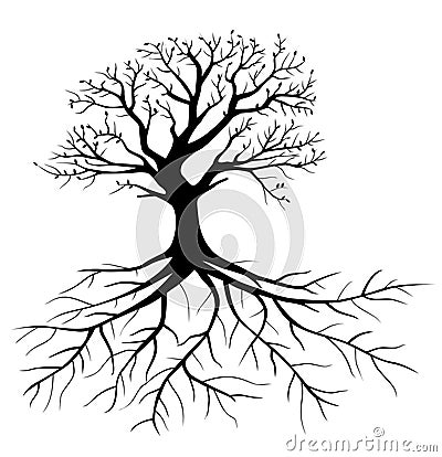 Tree with roots Vector Illustration