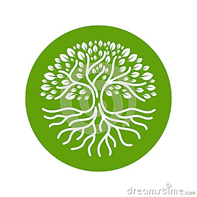 Tree roots circle logo badge modern Vector illustration Vector Illustration