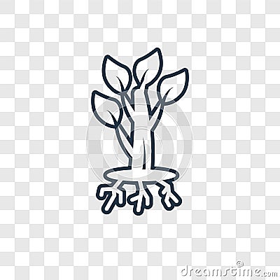 Tree and roots concept vector linear icon isolated on transparent background, Tree and roots concept transparency logo in outline Vector Illustration