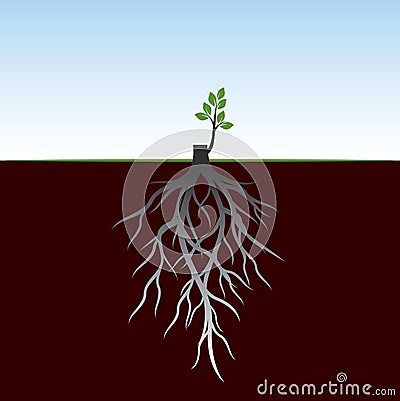 Tree Roots and germinate limb. Roots of plants. Vector Illustration Vector Illustration