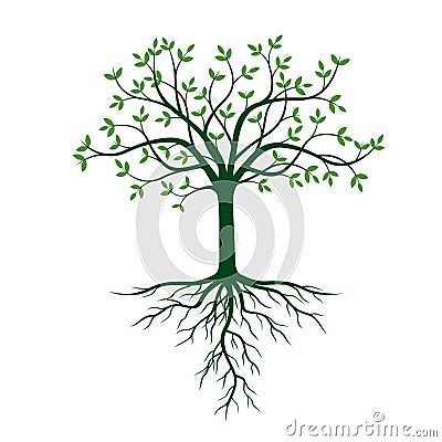 Tree with roots and green leafs. Vector Illustration