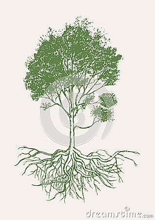 Tree with roots hand drawn vector. Vector Illustration