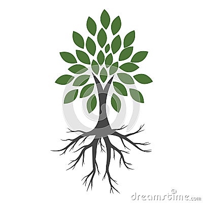 Tree And Roots icon, Tree And Roots logo Vector Illustration