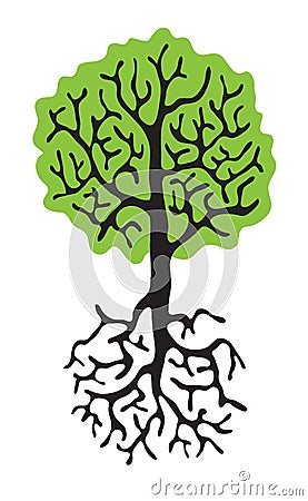 Tree with roots isolated white background Vector Illustration
