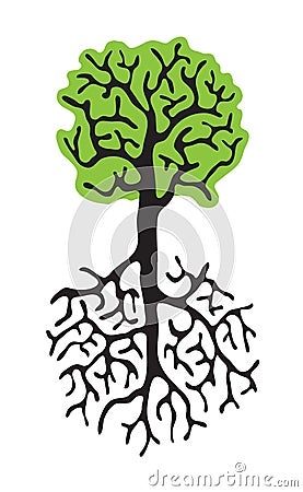 Tree with roots isolated white background Vector Illustration