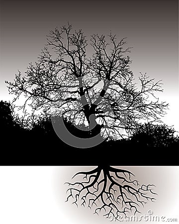 A Tree with Roots Landscape Vector Illustration