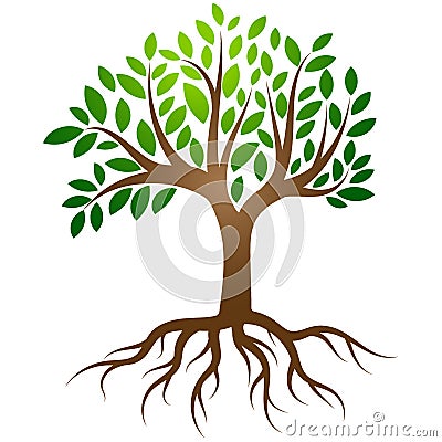 Tree roots logo vector Vector Illustration