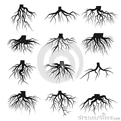 Tree roots set Vector Illustration