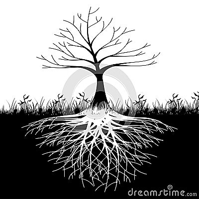 Tree roots silhouette Stock Photo