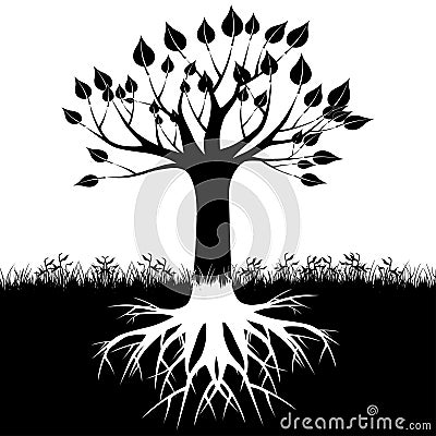 Tree roots silhouette Stock Photo