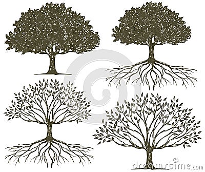 Tree & Tree Roots Silhouette Collection Vector Illustration