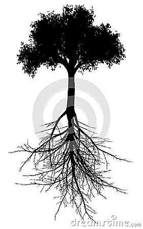 Tree with roots silhouette Vector Illustration