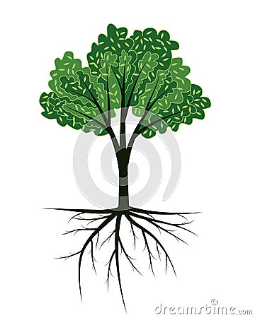 Tree with roots Vector Illustration