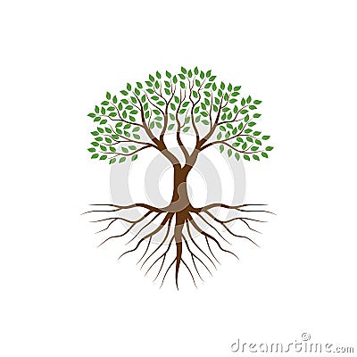 Tree with the roots vector illustrations Vector Illustration