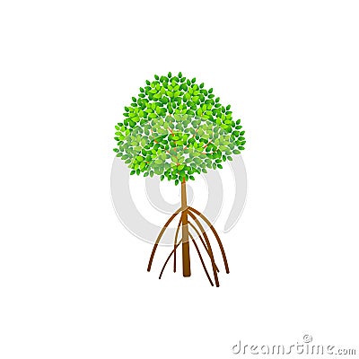Tree and roots vector, mangrove tree illustration, mangrove plant Vector Illustration