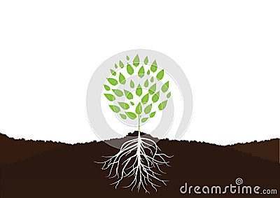 Tree with Roots, Plant roots in soil Vector Vector Illustration