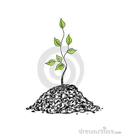 Tree sapling Vector Illustration