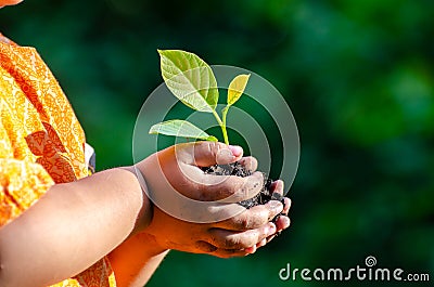 Tree sapling Baby Hand On the dark ground, the concept implanted children`s consciousness into the environment Stock Photo