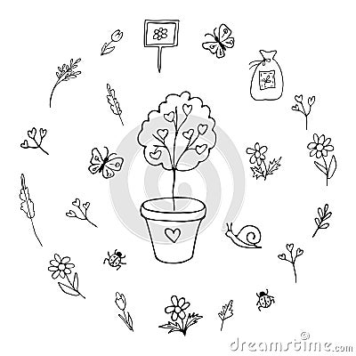 Tree sapling hand drawn black line. Set of flowers, insects, plants, seeds. Coloring Cartoon Illustration