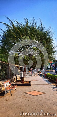 A tree on the sidewalk in front of one of the historical building in Central Java Editorial Stock Photo