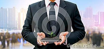 A tree seedling in the hand technology and environment the city Stock Photo