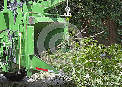 Industrial chipper mulching branches Stock Photo