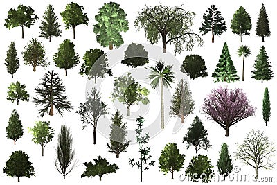 Tree set for architecture landscape design Stock Photo