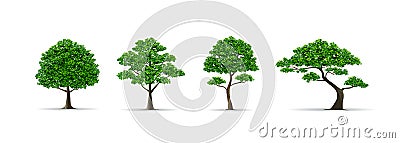 Tree set realistic vector illustration Vector Illustration