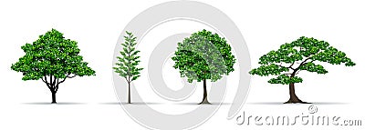 Tree set realistic vector illustration Vector Illustration