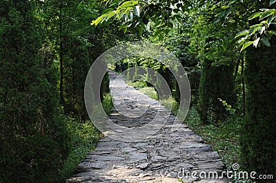 Tree-shaded path Stock Photo