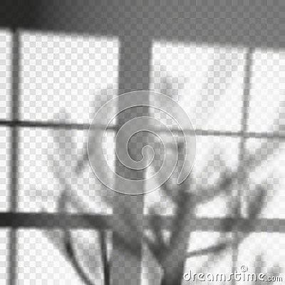 Tree shadow or plant branch overlay on wall Vector Illustration