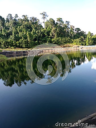 Tree Shadow in Water Padu Empat Stock Photo