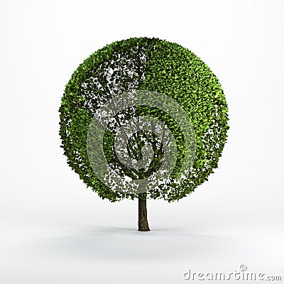 Tree shaped like the world map Stock Photo