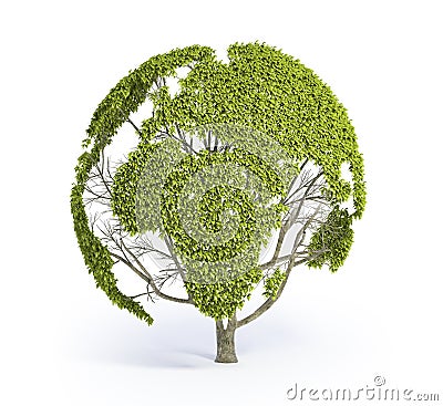 Tree shaped World map Stock Photo