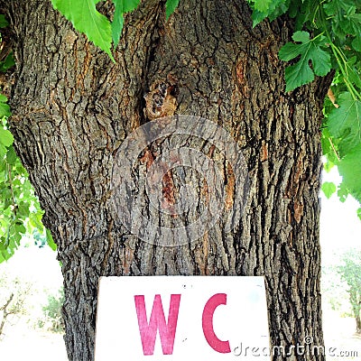 Tree with sign WC Stock Photo