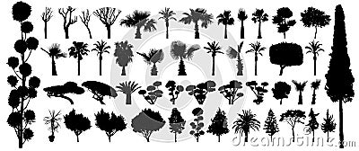 Tree silhouette black vector. Isolated set forest plants bushes on white background Vector Illustration