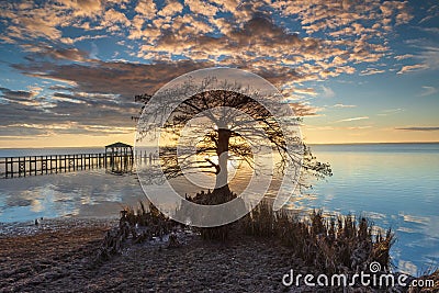 Tree Silhouette with Cloudy Sky at Sunset Outer Banks NC Stock Photo