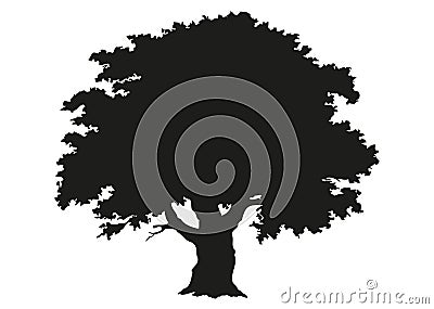 Tree silhouette. Drawing Stock Photo