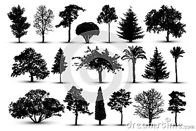 Tree silhouette, forest vector. Nature park. Isolated set, tree on white background. Vector Illustration