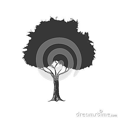 Tree silhouette icon. Nature design. Vector graphic Vector Illustration